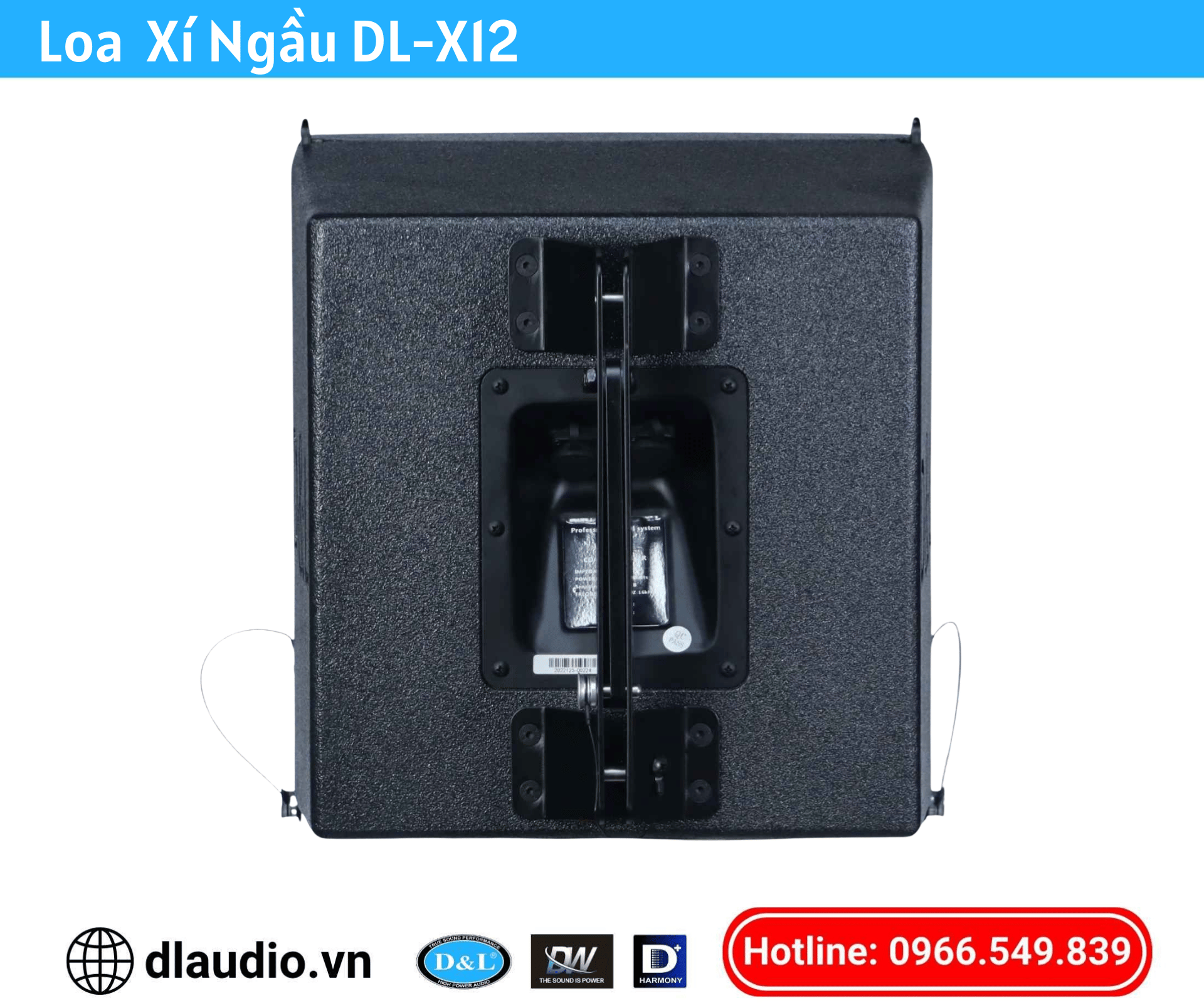 Loa Đồng Trục DL-X12