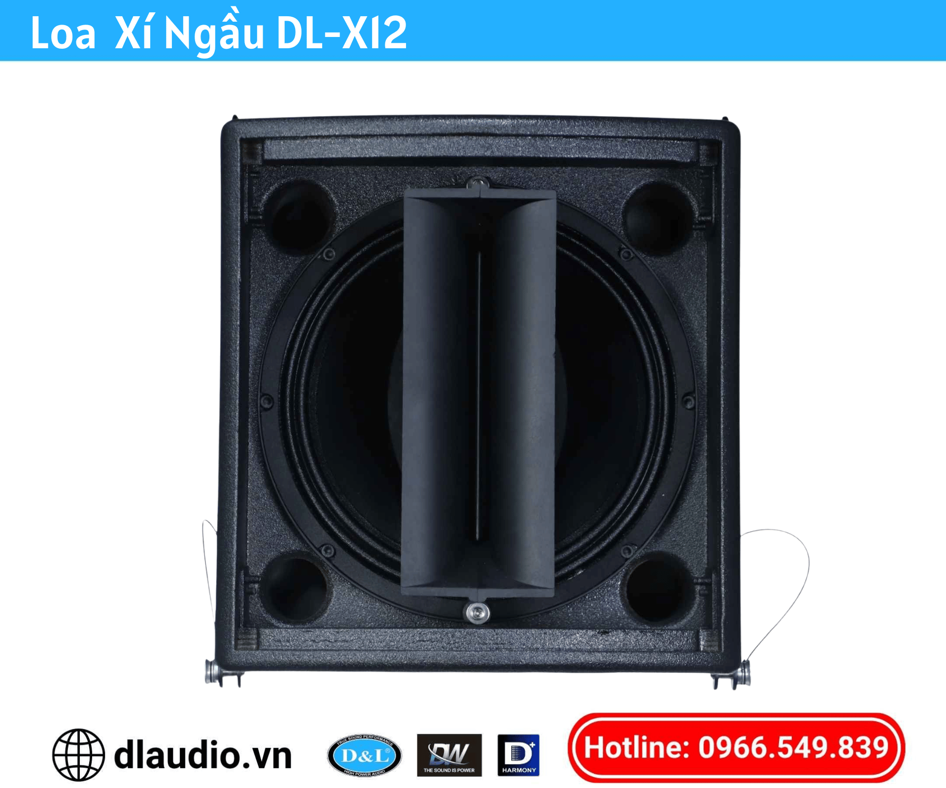 Loa Đồng Trục DL-X12